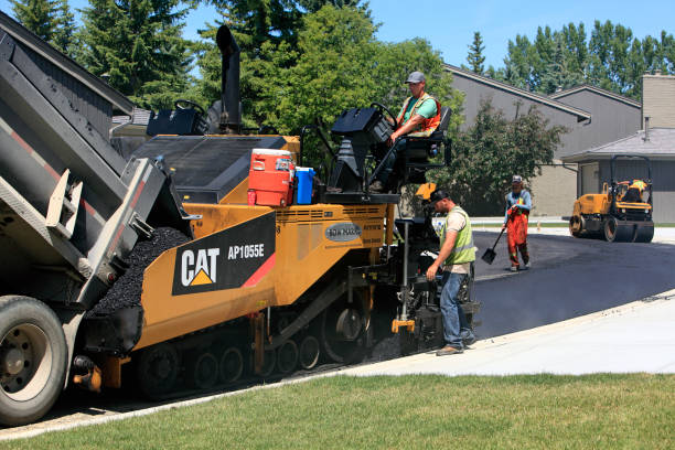 Best Custom Driveway Pavers  in Clermont, FL